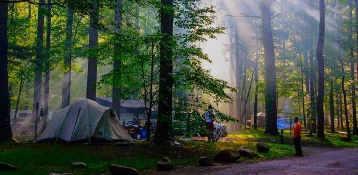 Smoky campground pigeon tent activities vacation forget