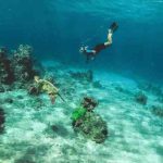Krabi andaman snorkelling coast islands thailand beach poda diving locations snorkel